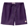 Globe Clean Swell Poolshort Swimming Shorts